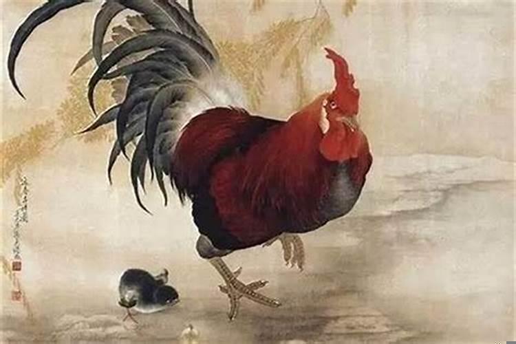 男属鸡的和女属鸡的相配吗？属鸡男和属鸡女婚配合适吗