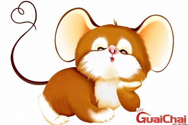 属鼠人的性格和缺点（属鼠女生的性格）