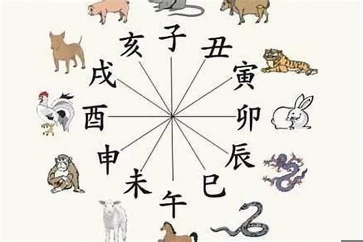 卧室里放生肖玩偶好吗？属猴人戴什么饰品最好