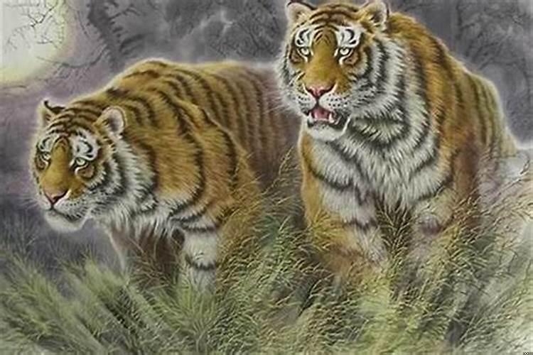 1974年属虎男婚配(属猴配偶的最佳属相)