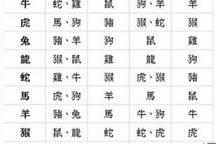 合婚下等婚，八字天合地合看婚姻