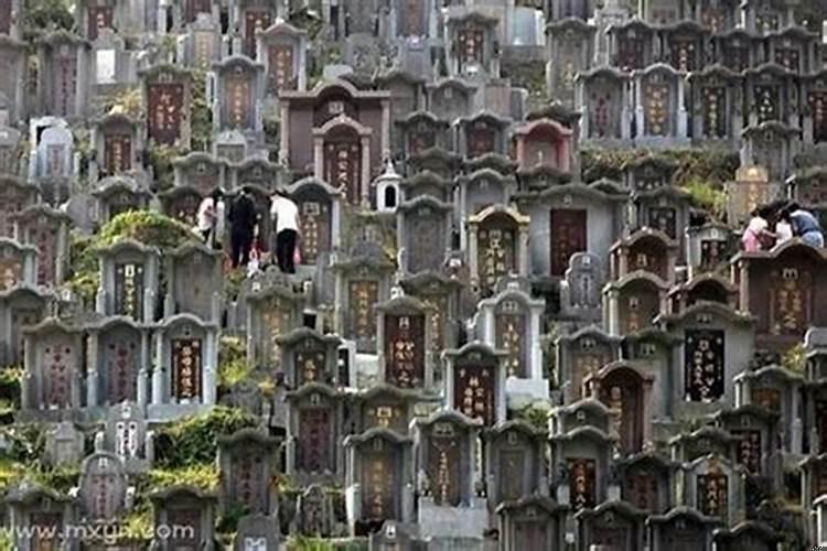 做梦梦见墓地和墓碑（梦见墓地很多墓碑）