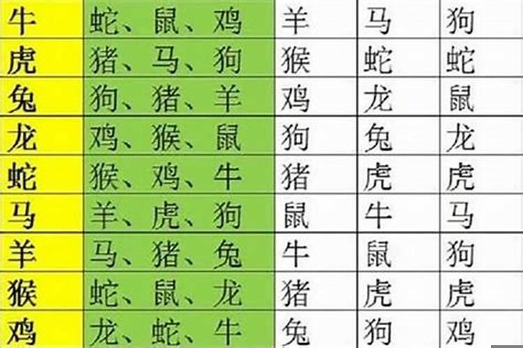 鸡过了是什么生肖？属鸡的人怎么样？