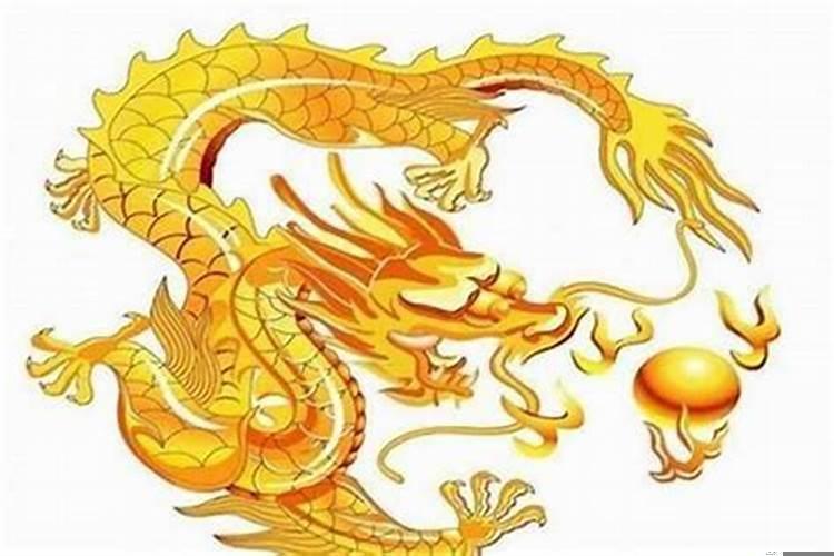 属虎跟属龙的人合不合，属龙和属虎合得来吗