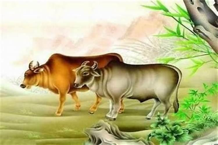 财运旺到爆的三大生肖，属牛女命里有几个儿女