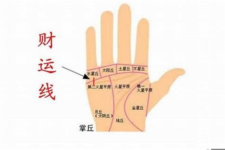 如何看手相财运命运线？手相感情线财运线是哪个