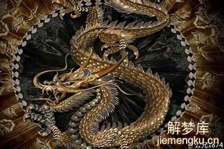 做梦梦到黑麒麟 梦见了黑龙是怎么回事