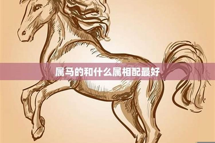 属马的和什么属相最配婚？属马的婚配什么属相最好