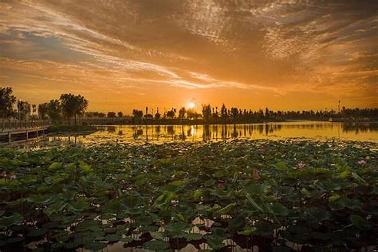 太阳升起和落下的方位是如何变化的