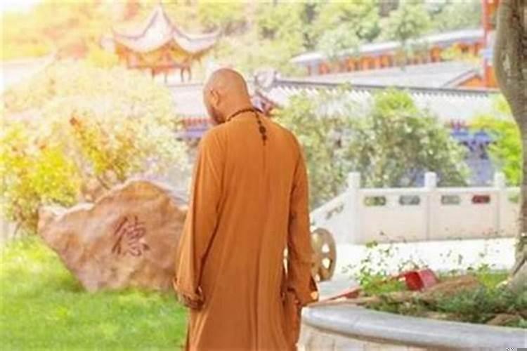 师兄们一般修什么法门啊？八字适合修道