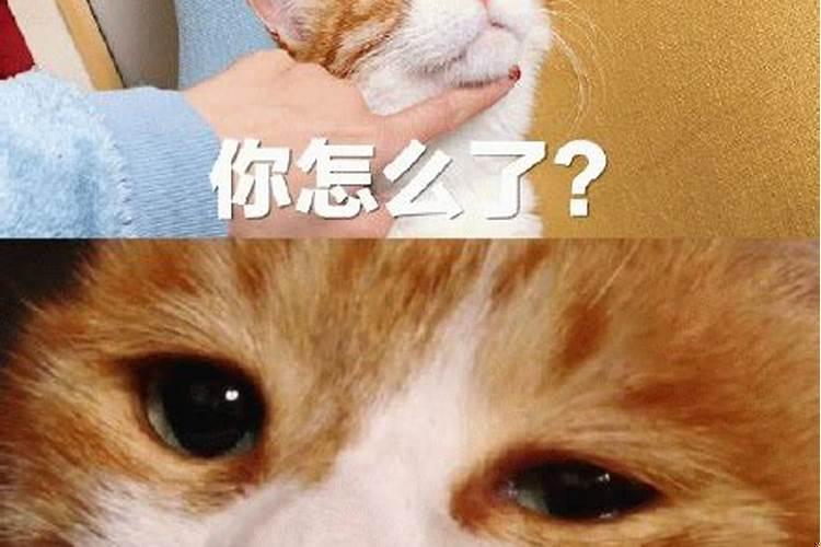 想发财怎么办？怎么能快速发财