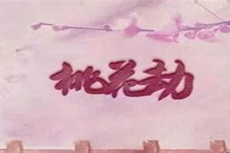 桃花劫会离婚吗？女人桃花破财是什么意思