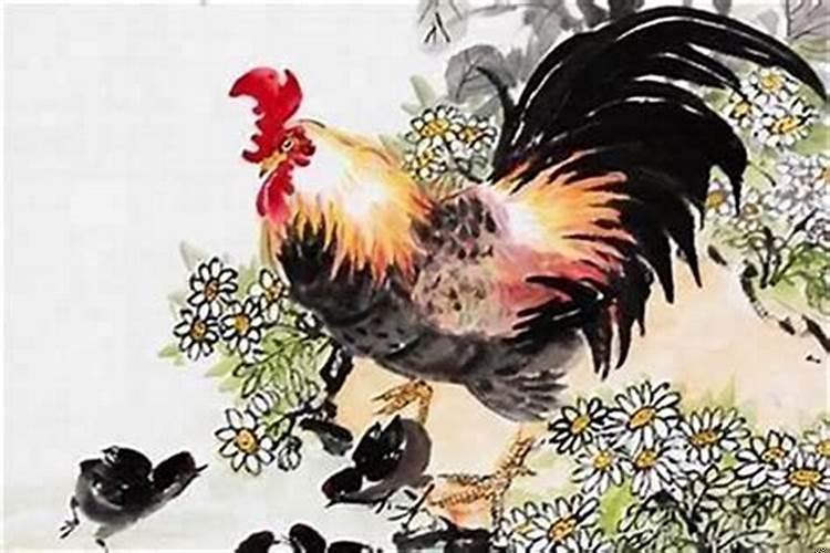 属鸡的人最忌讳什么？属鸡的今年事业运怎么样