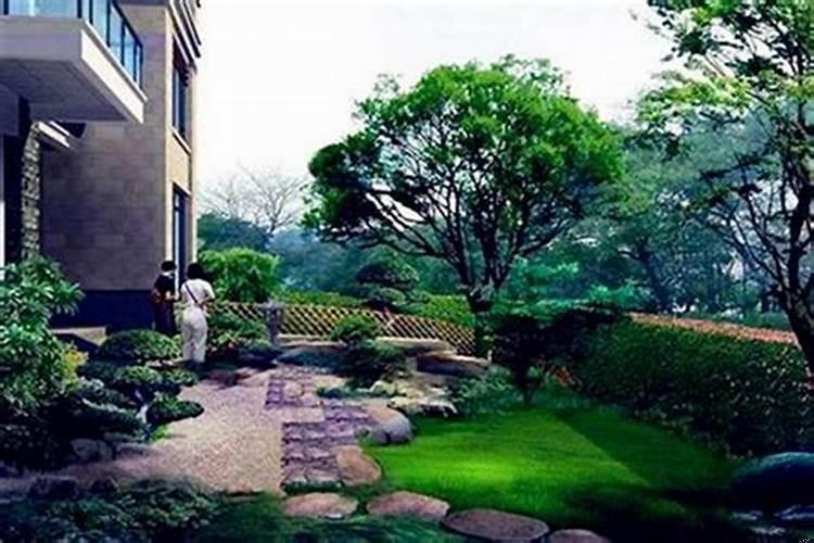 别墅门前种什么树比较好