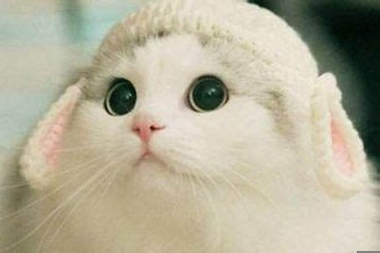 平坟头对风水的影响