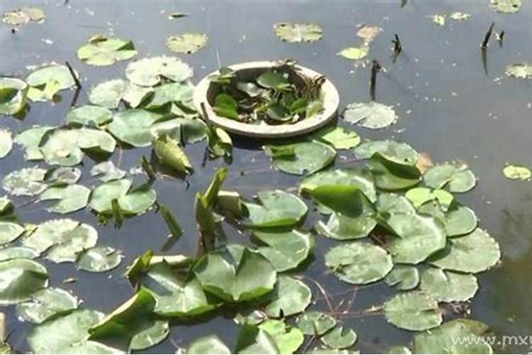 梦见女生跟我表白是什么意思?我是女生,梦见女生向我表白啥意思