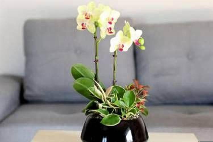 命入偏财格是什么意思？偏财是哪些