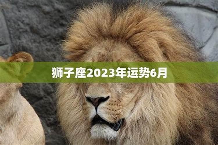 2025年狮子座财运怎么样？狮子座6月下半月感情运势
