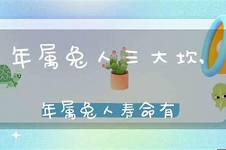 属兔人一生有几个坎?属兔的人无穷尽贵人运