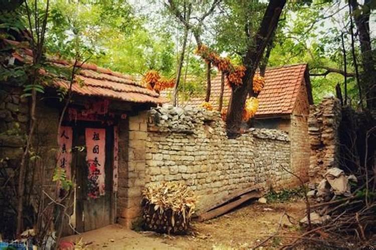 门前左右都有大树好不好