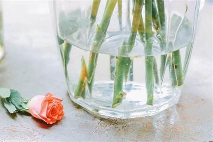 出轨挽回婚姻最聪明的方法(离婚后想挽回怎么挽回男方)