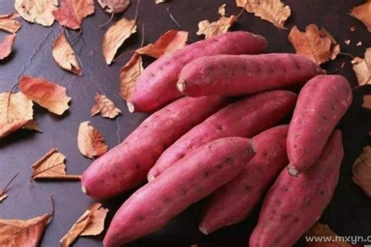 梦到狗咬自己的手不放 梦见狗咬自己的手不放好不好