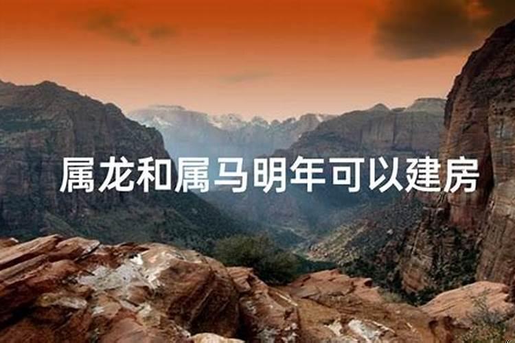 属马能和属龙在一起吗？属龙的跟属马