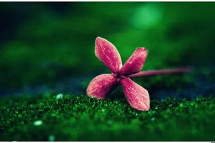 搬进新家后运气差怎么改变好？搬新家怎么做可以提升财运