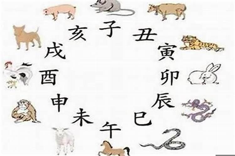 属蛇的人克属什么生肖？蛇与什么属相相克相冲男蛇女猴