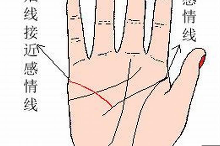 晚年不幸福的女人手相(婚姻线好感情线不好)