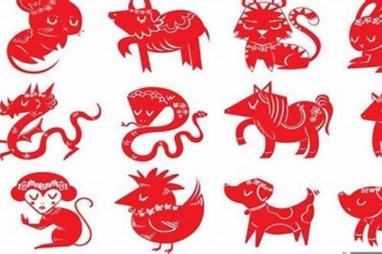 了解十二生肖的来历(为什么十二生肖没有狮子和猎豹)