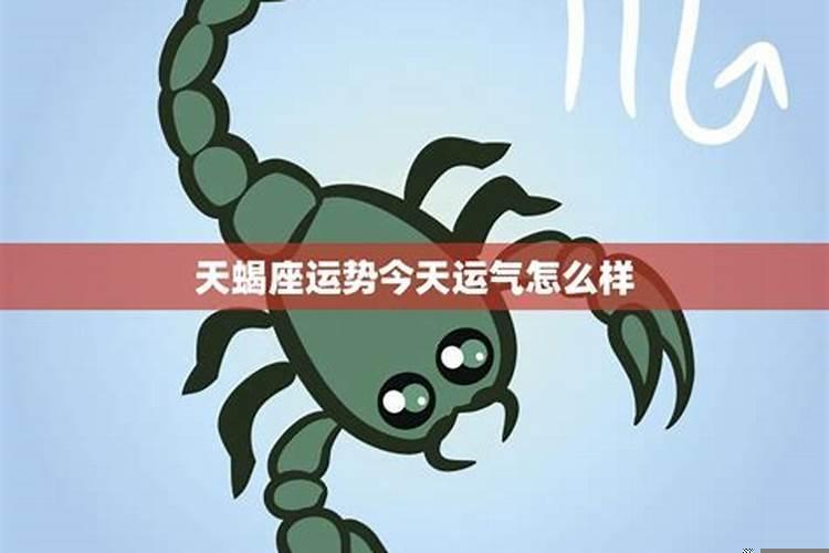 星座运势天蝎座7月,事业运不好怎么调