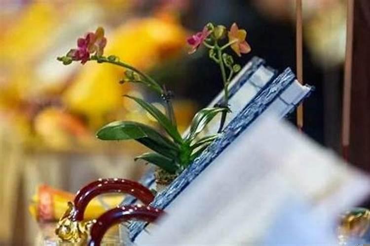 什么叫财布施、法布施?财布施,得财