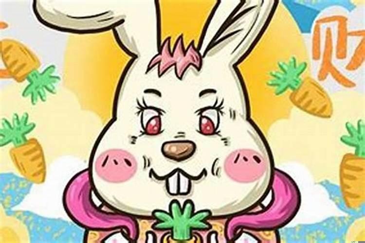 属兔的适合哪个方位？属兔的怎么转运招财