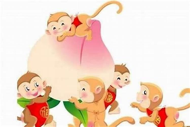 92年属猴适合住几楼？92年的猴住几楼最好