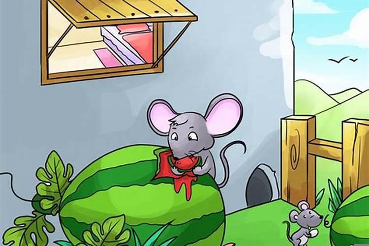 梦见好多乌龟是什么预兆吗周公解梦？做梦见到很多乌龟是什么兆头？