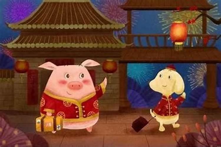 属猪的人楼层住几层比较好？属猪不宜住几楼最好呢