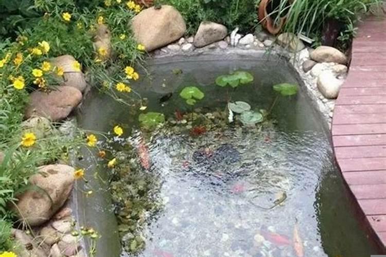 庭院鱼池放在什么位置好