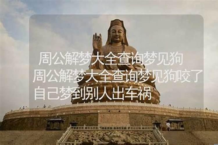 梦见狗叫醒自己,梦见狗周公解梦大全查询
