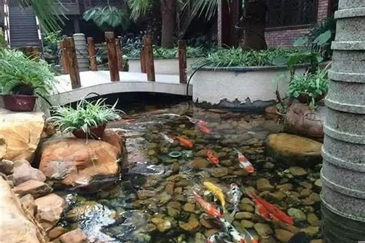 庭院鱼池放在什么位置好