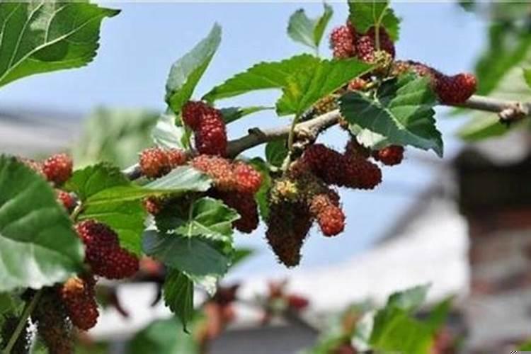 手动调节导风板什么影响