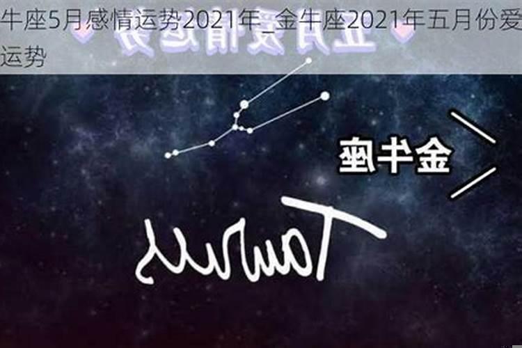 金牛座运势2025年5月运势详解,金牛座财运怎么样