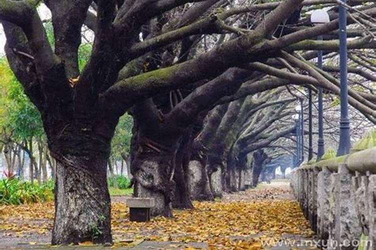 梦见拉大便是什么意？梦见厕所大便是什么预兆解梦