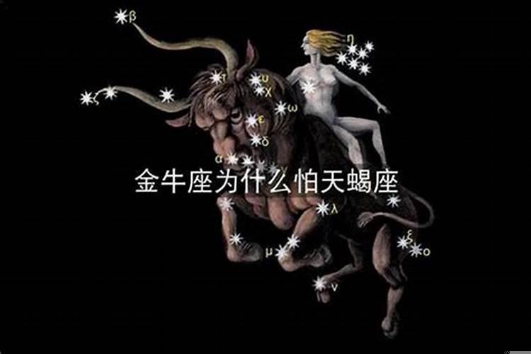 天蝎座容易单身吗？金牛男单身很久