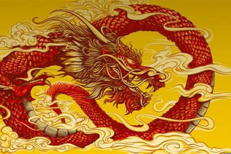 属马能和属龙在一起吗？属龙的跟属马