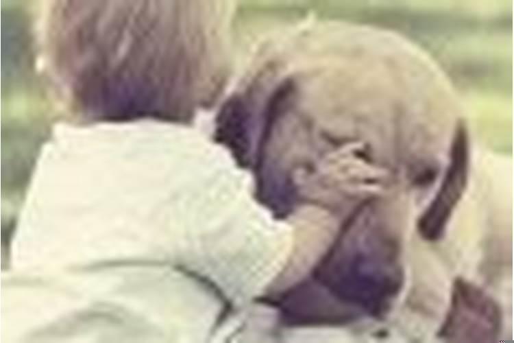 三刑入命怎么破解？八字有三刑怎么化解