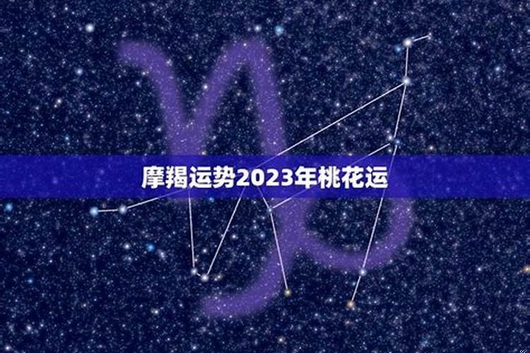 2025年星座桃花运势 2025催桃花运