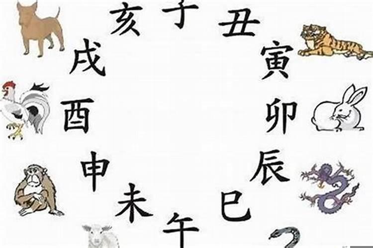 十二属相的幸运数(十二生肖东南西北生肖怎么分)