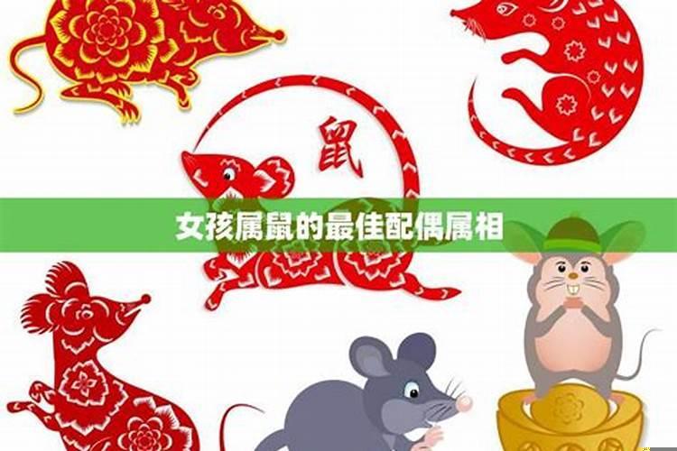 属鼠最佳配偶属相是什么?属鼠女的婚姻和什么配最好?