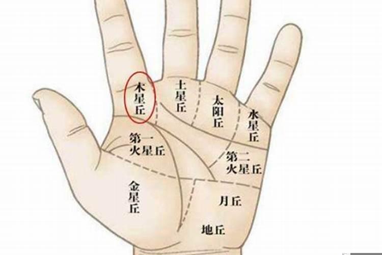 晚年不幸福的女人手相(婚姻线好感情线不好)